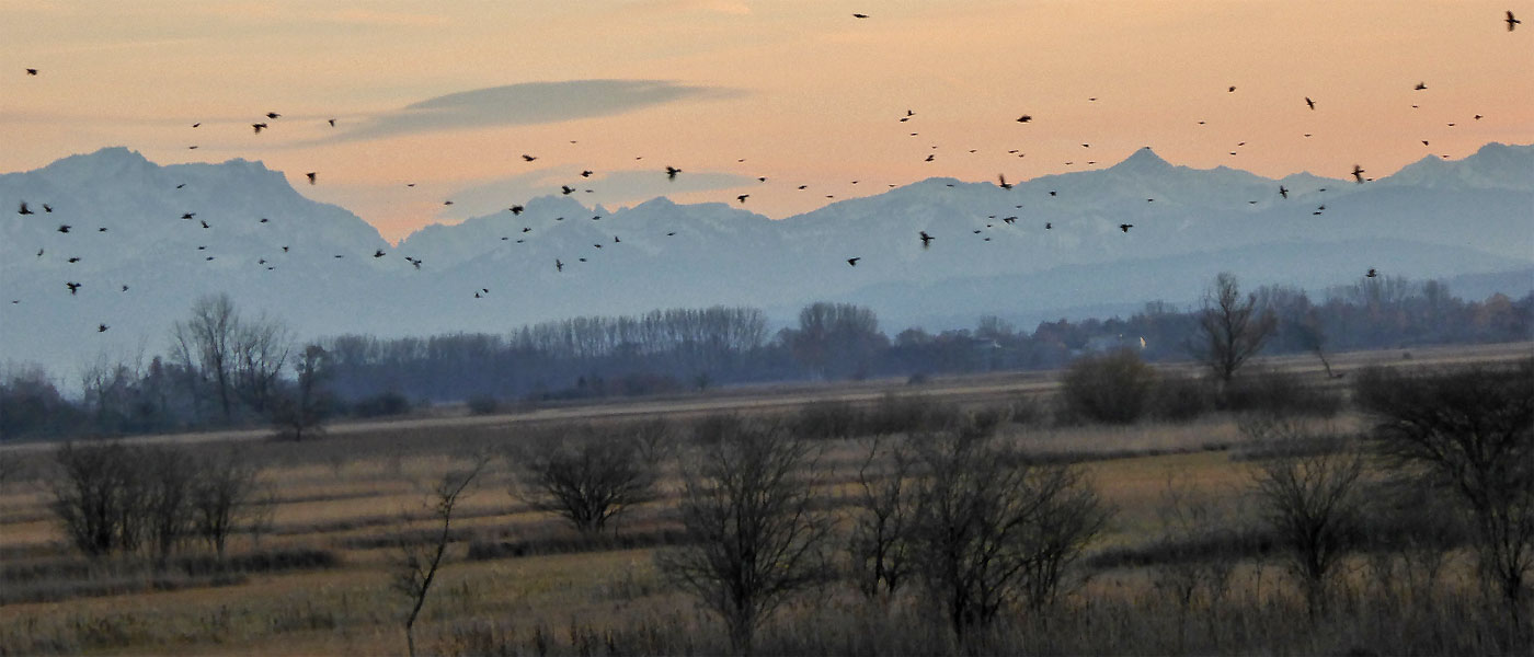 Das Ampertal und das Ampermoos sind für unser Brucker Land einzigartig