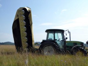 Mahd im nordöstlichen Bereich es Ampermooses