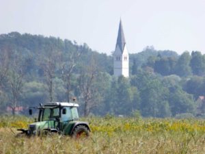 Mahd im nordöstlichen Bereich es Ampermooses